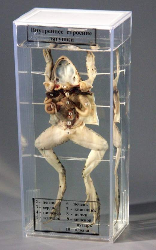 ЫВМВЫИВЫИЫВ