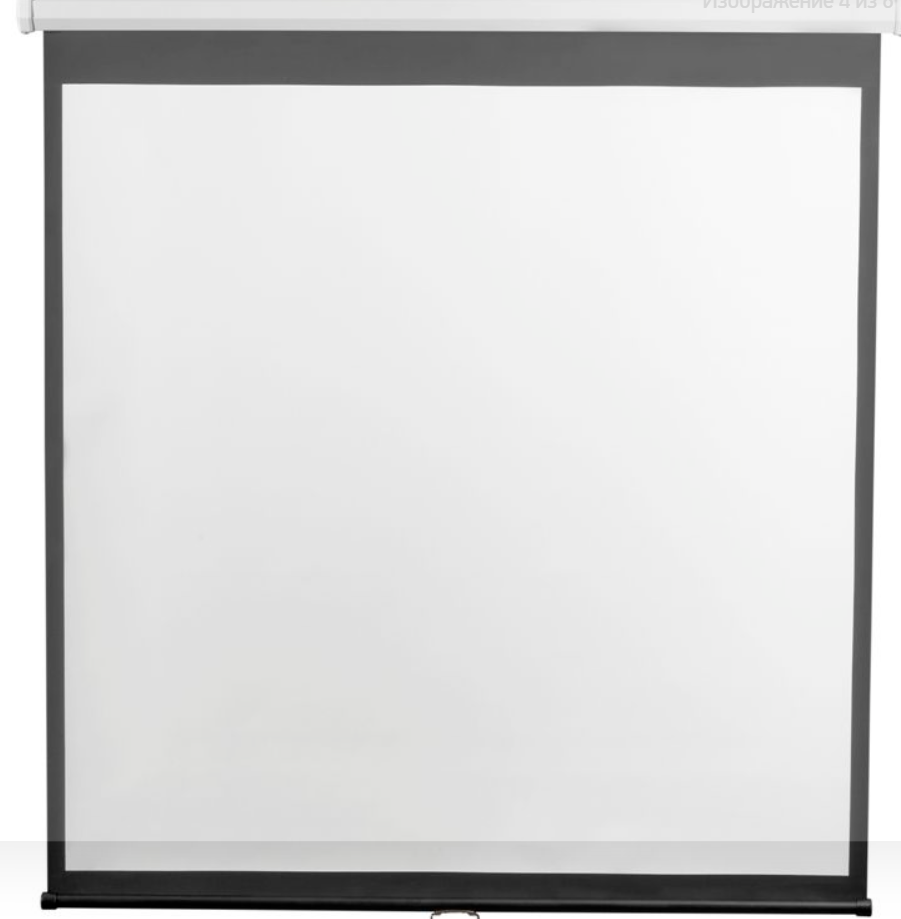 Снимок экрана 2025-05-05 110017