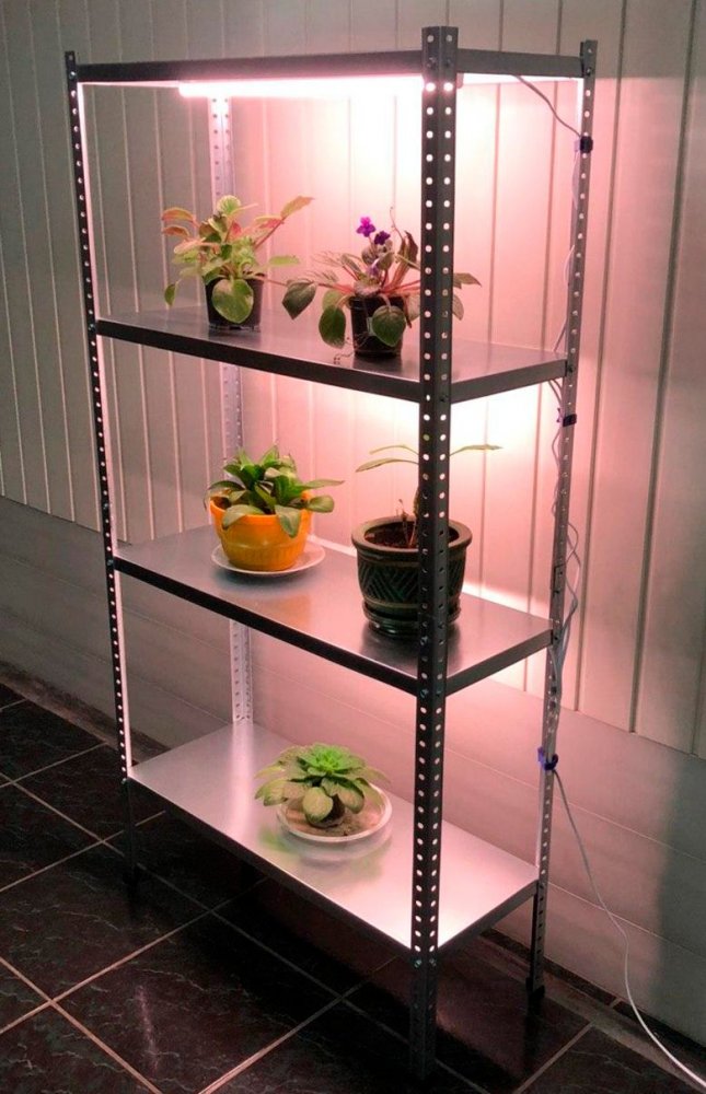 stellazh_dlya_rassady_s_podsvetkoy_afonya_310_150x75x30