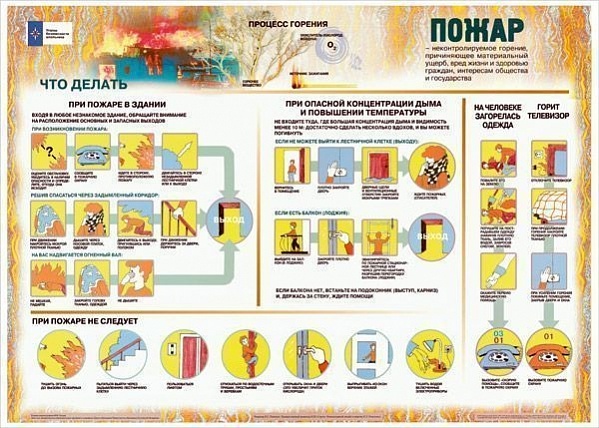 0095ce6f7ba7906e3ffe29928056f502