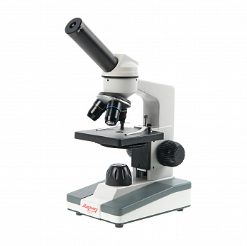 Снимок экрана 2024-08-20 080756