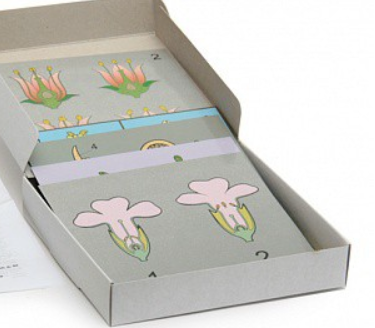 Снимок экрана 2025-07-31 092928