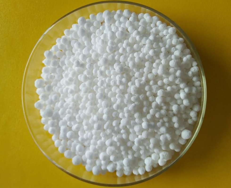 Снимок экрана 2023-03-20 131601