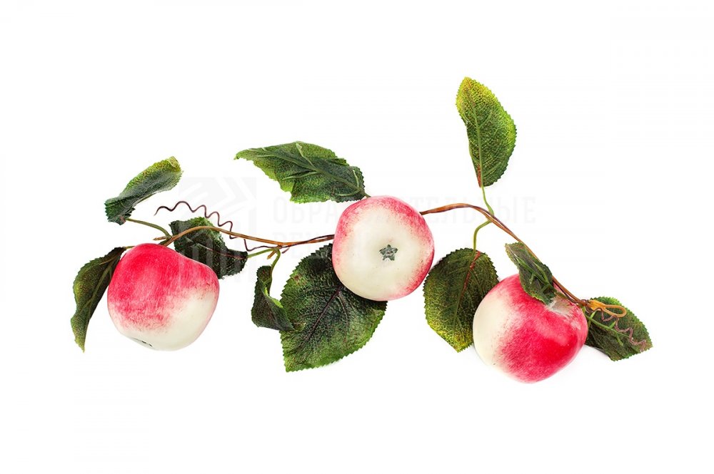 n759w4ywo4ehc6fsf0q3wzjaknggj96l