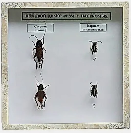 Снимок экрана 2024-10-29 160235