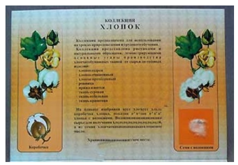 Снимок экрана 2025-08-20 084928