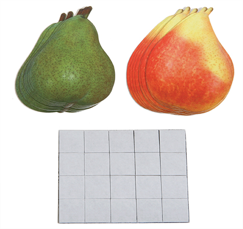 Счётный материал груши