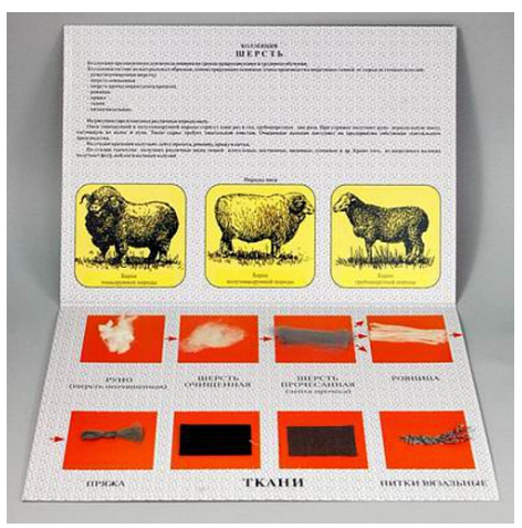 Снимок экрана 2025-08-20 085125