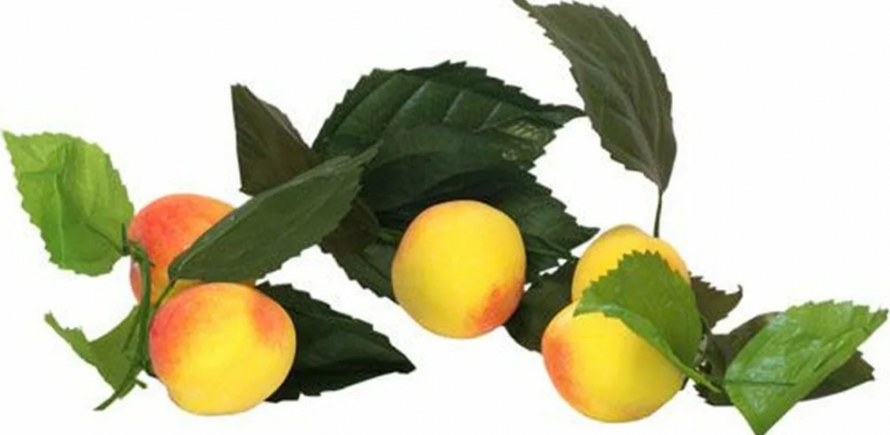 Снимок экрана 2025-08-19 154853