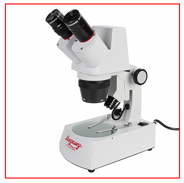 Снимок экрана 2024-08-19 101201