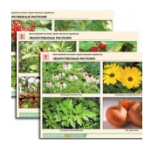 Снимок экрана 2025-07-31 090733