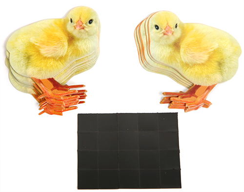 Счётный материал цеплята