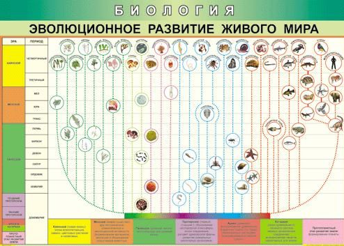 Скриншот 29-10-2024 222927