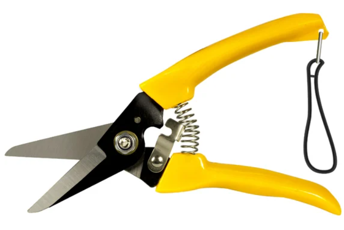 Снимок экрана 2025-07-30 133512