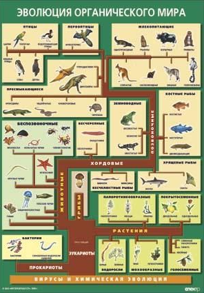 Скриншот 29-10-2024 222307