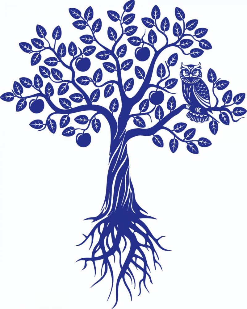 4iyt2qpf3x1rtmlrlufw6gwygtfz4u1b