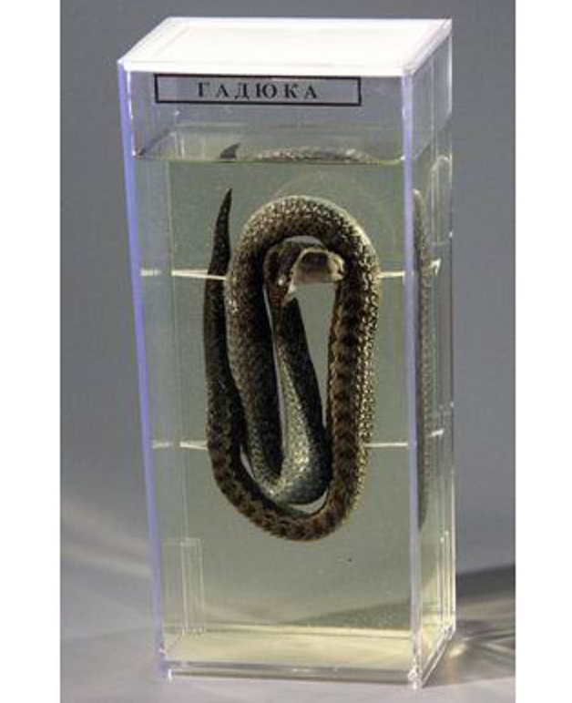 ВАМАВИАВИААИ