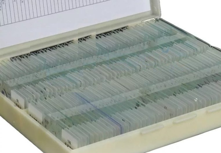 wmremove-transformed (1)