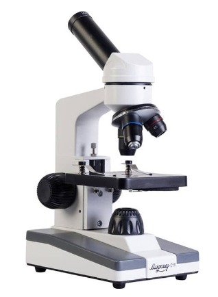 Скриншот 03-12-2024 090503