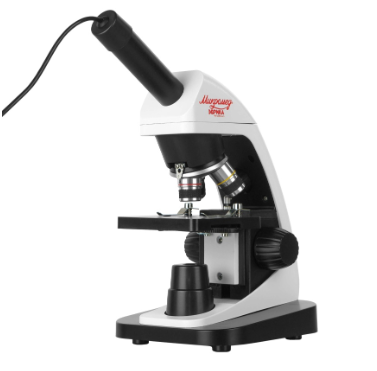 Скриншот 25-10-2024 160454