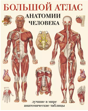 Снимок экрана 2024-11-22 111556