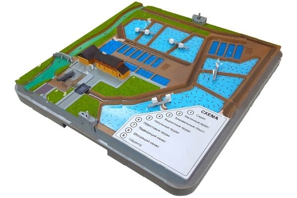 wmremove-transformed