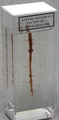 вымвымвыаимваы