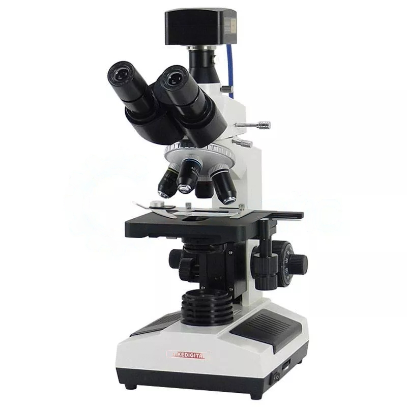 68494286-e892-4032-93a2-84b9cd71c65b