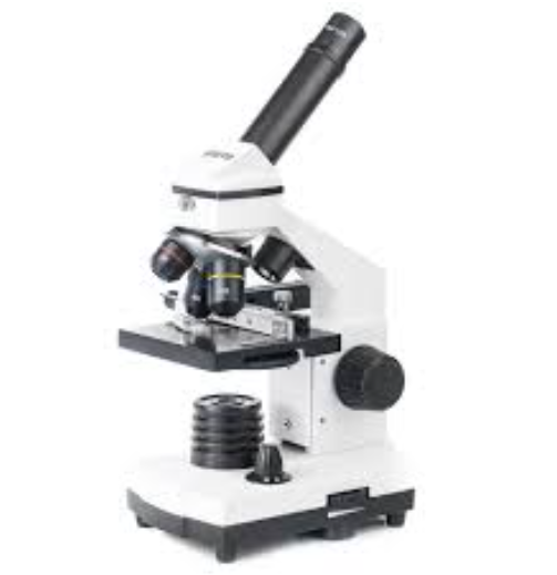 Снимок экрана 2024-08-19 104353