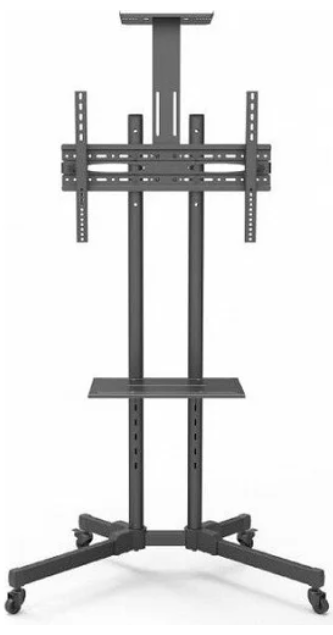 Снимок экрана 2025-08-13 094522