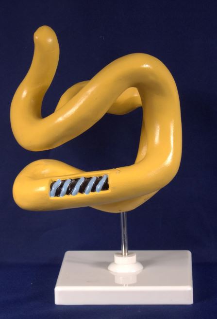 авпавпававкуауц