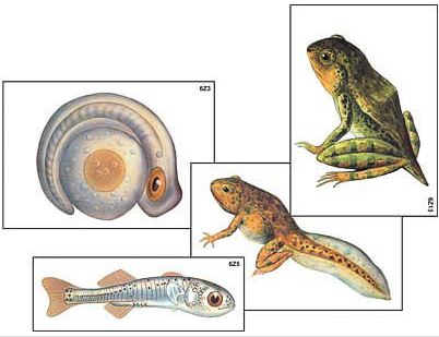 Скриншот 29-10-2024 232308