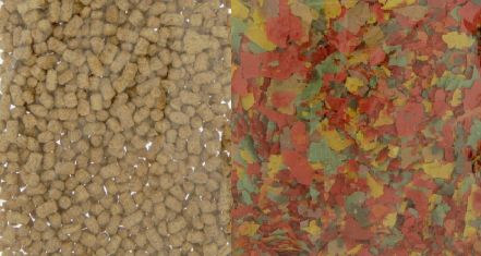 Скриншот 31-07-2025 191846