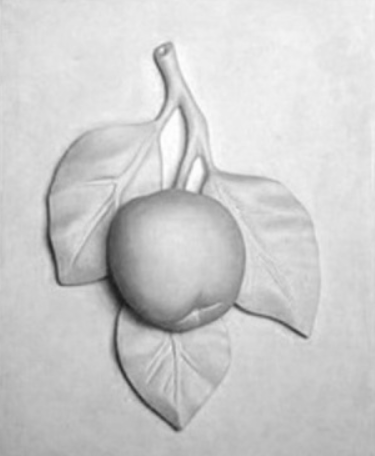 Снимок экрана 2025-08-20 082741