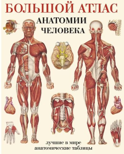 ывпвапавпв