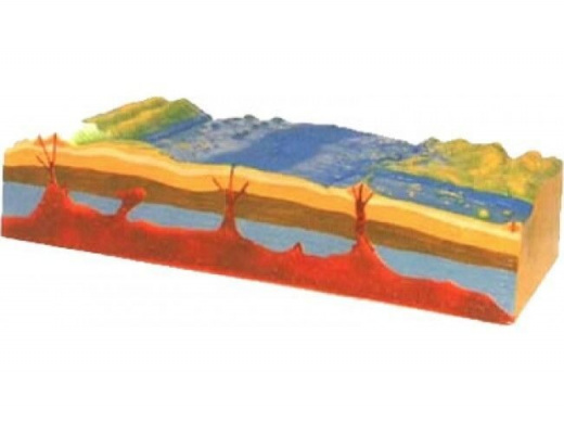 Модель_строение_рельефа_морского_дна