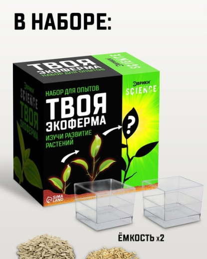 Без имени